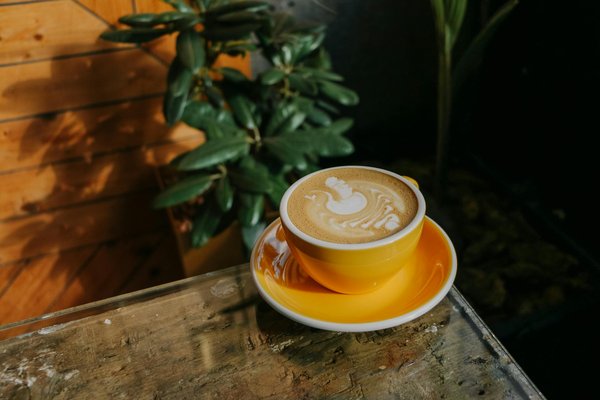 Les avantages inégalés des vêtements de détente en coton : Confort et qualité garantis !